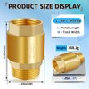 Boltigen 2Pcs 1in NPT Spring Check Valve, Brass Non Return