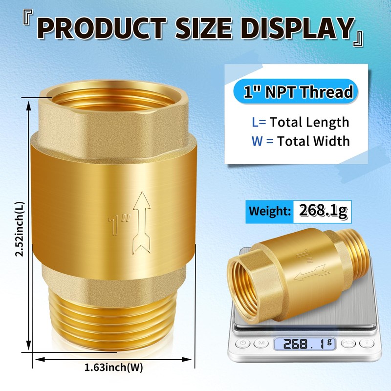 Boltigen 2Pcs 1in NPT Spring Check Valve, Brass Non Return