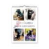 Black Labradors 2026 Yearly Wall Hanging Calendar - Splash Effect
