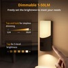 Motion Sensor Wall Sconce (2 Pack), Up & Down Dual