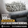 FM FastenMon #10x2-1/2 Stainless Steel Deck Screws, 304 Grade, 300