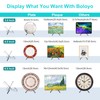 Boloyo "X Shape Acrylic Plate Display Stand, 6.5 Inch 1PC