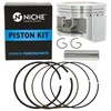 NICHE Cylinder Piston Gasket Kit for Honda Recon Sportrax 250