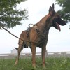 ICEFANG GN8 Tactical Dog Harness with 4X Metal Buckles for