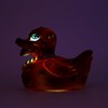 locomocean Colour Changing LED Rubber Duck - Chewquacker - May