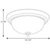 Progress Lighting 2-Light Ceiling Light, Flush Mount Ceiling Light Fixture
