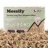 Mossify Premium Sphagnum Moss for Plants 1kg, 2.2 lbs -