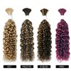 Liqusee Water Wave Curly #4/27 Human Braiding Hair 100g One