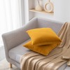 Rythome Set of 2 Velvet Throw Pillow Covers for Couch