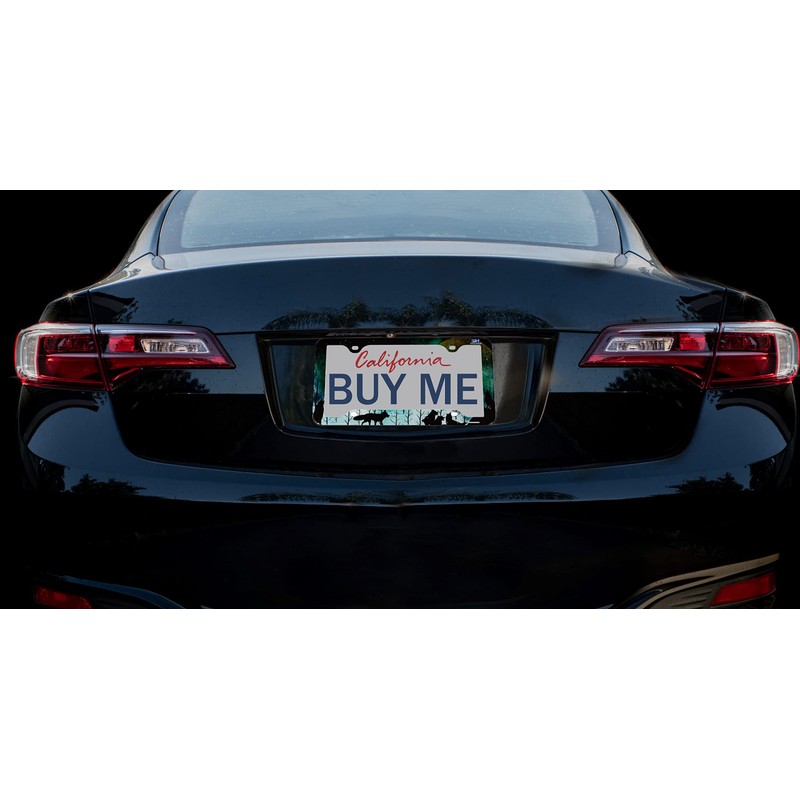 FantasHome Stainless Metal Car License Plate Frame Covers with 4