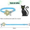 Collares de perro básicos, paquete de 4 collares de gato