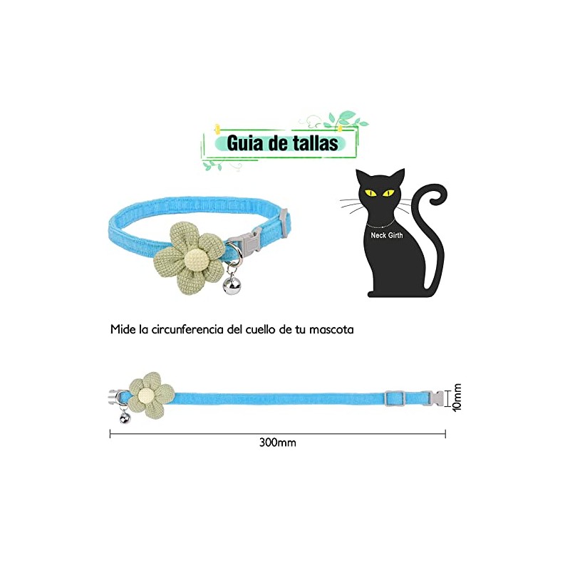 Collares de perro básicos, paquete de 4 collares de gato