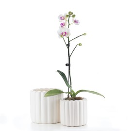 FUYHE Vertical Striped Ribbed Ceramic Plant Pots,White Ceramic Planters for Indoor or Outdoor Plants- 6" and 4.7",White Round Flower Pot with Cone Mesh,Ceramic Pots with Drainage Holes,Set of 2