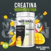 Creatina Monohidratada Green 1 Kg 200 Servicios Sabores
