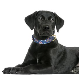 Rnivvi Dog Collar for Large Dogs, Cute Heavy Duty Adjustable Puppy Collar with Quick Release Buckle for Girl & Female, Pet Accessories for Walking Running, L Length 1" Width, Blue Rainbow