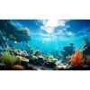 Ocean Floor Fish Tank Background Underwater Coral Reef Stone Aquarium