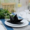 Fanxyware Star Shaped Origami Dinner Napkins in Black (Disposable) -