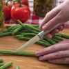 Rada Cutlery Heavy Duty Paring Knife, Silver Handle, Pack of
