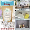 UpBloom Pest Prevent Natural Defense Repellent for Indoor Spaces for