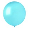 Pack of 100 Balloons Pearly in Natural Latex Premium Quality