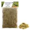 WWScenics | 10mm Dead Static Grass | 30g | WSG10-047