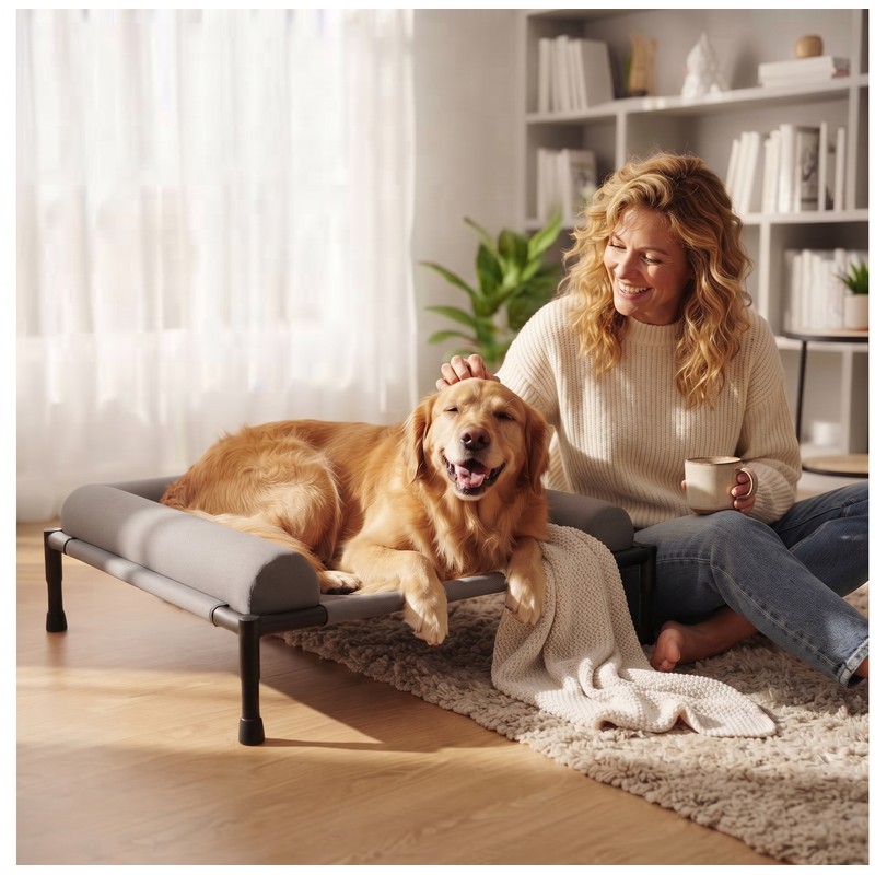 Elevated Dog Bed & Raised Pet Cot with Sturdy Frame