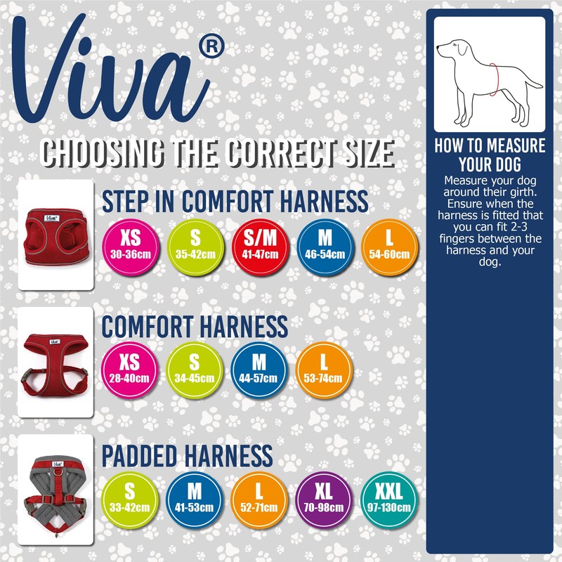 Ancol Viva Step-in Comfort Harness Blue.Small- To fit 35-42cm