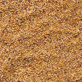 Clover Trio Seed Blend - Premium Clover Seed Mix - 1 Lb ~179,200 Seeds - Mix of Red Clover Seeds, White Clover Seed, & Crimson Clover Seeds - Cover Crop Seed Mix - Three Part Blend of Clovers