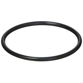 TOTO O Ring TH91301H