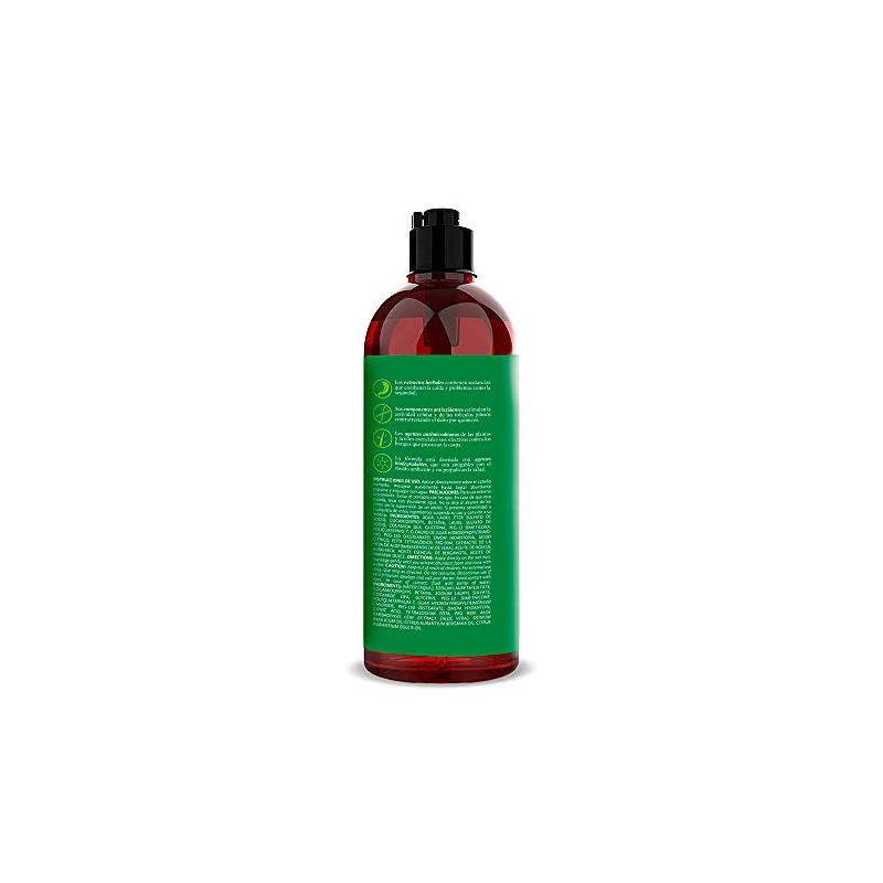 The Botanist Shampoo Bergamot + Basil 591 ml