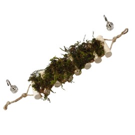 Handmade Jumping Spider Enclosure with Natural Moss Solid Wood Climbing Rope Bridge as Jumping Spider Accessories or Hideout Suspension Bridge Spider Jump Platform a Decor for Small Reptile Hide