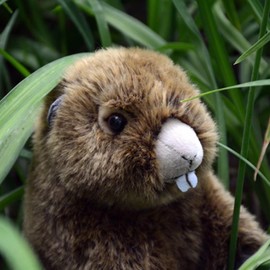 FRANKIEZHOU Realistic Groundhog Stuffed Animal- Brown10,Marmot Plush Toy Soft Toy for Boy,Girl Toys,Gifts for Kids, Baby Gift, Cry Babies,Home Decor,Hugging Toy