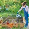 U0U 15PCS 5 Pack Plant Protector from Animals, Metal Mesh