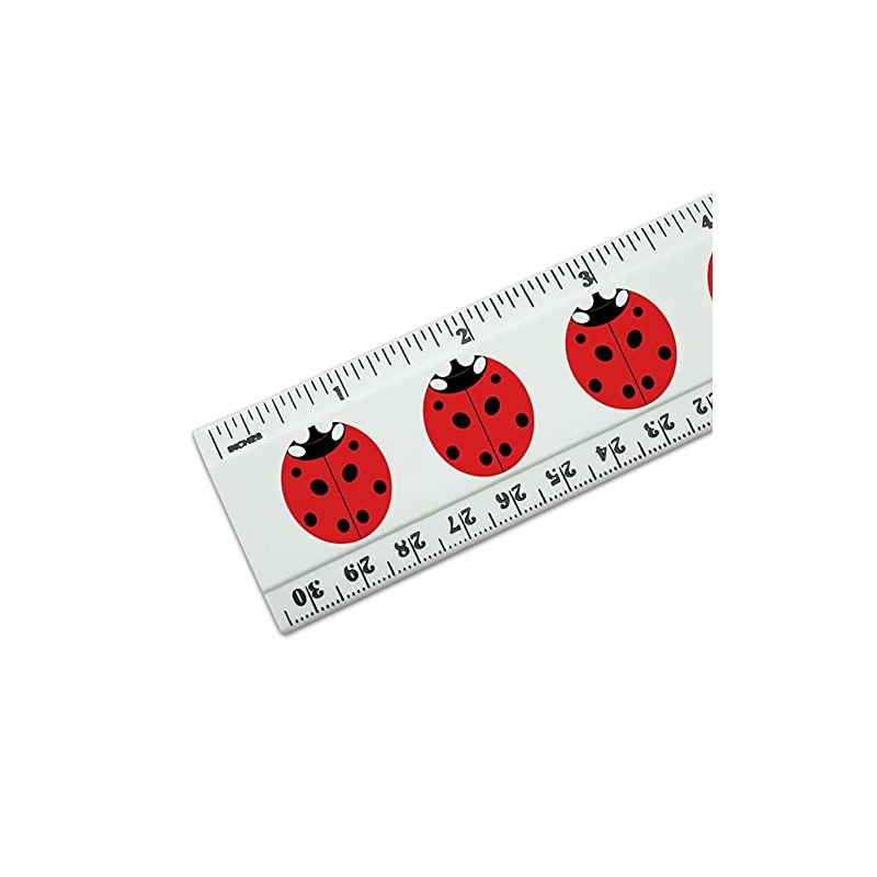 Lady Bug Ladybug Insect 12 Inch Standard and Metric Plastic