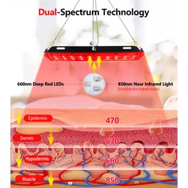 Rikimxin Red Light Therapy Lamp with Stand, Dual Infrared Lamps 60 LEDs 660nm Red and 850nm Near Infrared Wavelengths for Body Overall Health at Home with Hanging Accessories