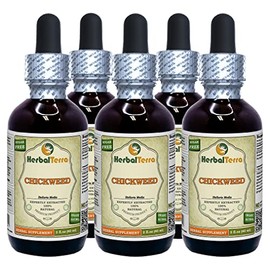 Chickweed (Stellaria Media) Tincture, Organic Dried Above-Ground Parts Liquid Extract (Brand Name: HerbalTerra, Proudly Made in USA) 5x2 fl.oz (5x60 ml)
