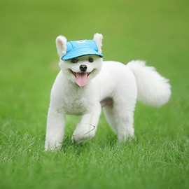 Leconpet Baseball Caps Hats with Neck Strap Adjustable Comfortable Ear Holes for Small Medium and Large Dogs in Outdoor Sun Protection (M, Blue)