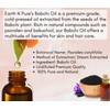 Earth N Pure Babchi Oil (Bakuchi Seed Oil) 100 ML
