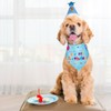 Yicostar Dog Birthday Party Supplies, Dog Birthday Bandana Set, Dog