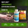 Kings Bay Naturals Organic Worm Castings Tea Fertilizer Liquid Concentrate,