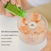 Salt Mine Humidifier Hydration Adjustable USB Charging Desktop Salt Mine