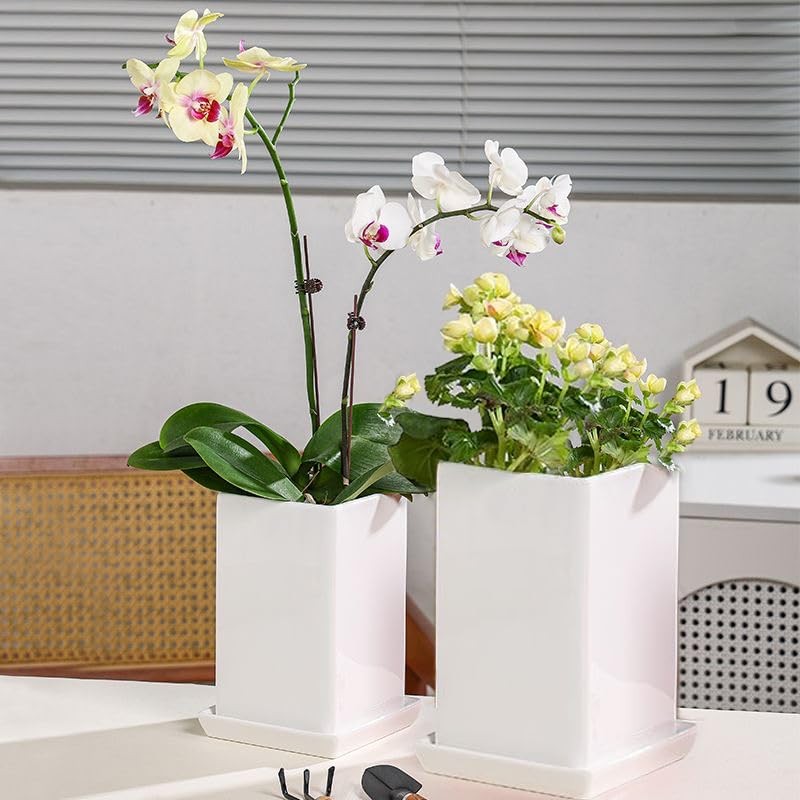 Square Plant Saucer 6 Inch 2 Pack，Plant Trays for Pots,