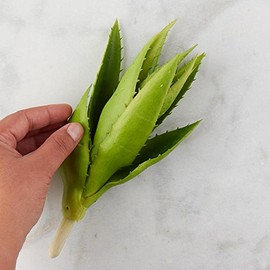 Factory Direct Craft Green Vinyl Closed Aloe Plant Pick | for Indoor or Outdoor Decor