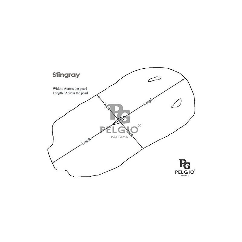 PELGIO★エイ革のスキン★黒色★40センチ★ポリッシュ