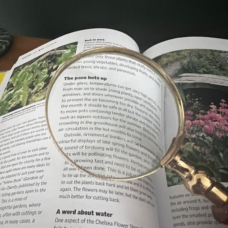 Elegant Regency Style Wooden Handle Magnifying Glass for Reading, Handheld