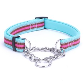 LOS ANDES Dog Choke Collar Martingale Collar with Limited Chain Strong Nylon Collar with Soft Padded No Pull Reflective Training Collar for Large, Medium and Small Dogs(S:Neck 25-45cm,Sky Blue)