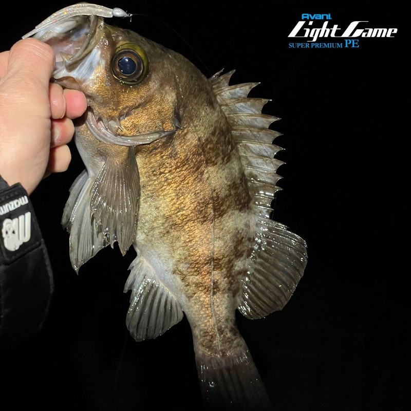 VARIVAS Line Abani Light Game Super Premium PE X4 Intermediate