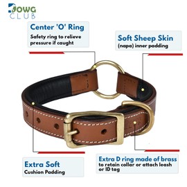 DowgClub | Genuine Leather Adventure Dog Collar | Full Grain, Heavy Duty | With inner Cushioned padding | Best for Medium, Large & XL Dogs (Large (Fit Neck Size 18.5"-22.5"), Brown With Center O Ring)