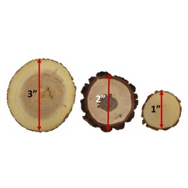 Wood Slice Variety Pack, 1" to 3", Qty of 50 Unfinished Natural Assorted Wood Rounds, Black Walnut, Red Cedar, Maple, Oak, Coasters, DIY Crafts, Pyrography, Epoxy Resin Projects, Coasters