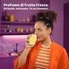 Vileda, PUNCH Spugna Piatti, 4 Pezzi – Spugne da Cucina